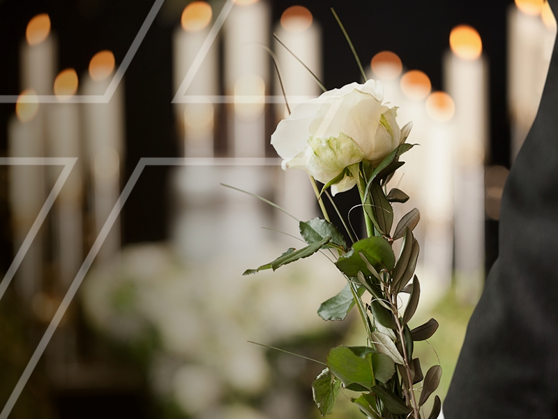 Novo decreto municipal de Palmeira