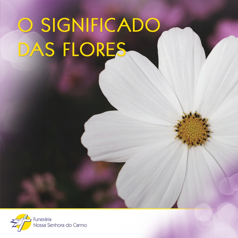 Saiba os significados das flores para homenagear seus entes queridos.
